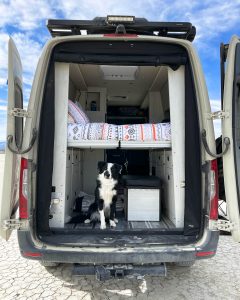 dog in RV, RV travel with dog