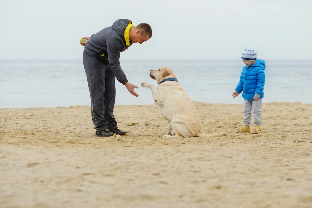 Family and dog at the beach, teaching their dog how to shake