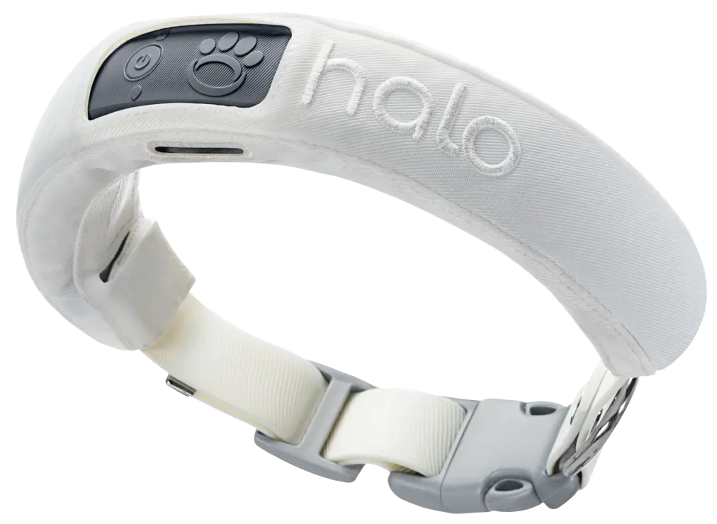 Switching from Halo Collar to Invisible Fence® Brand 
