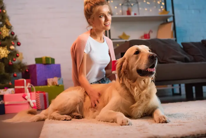 The top 10 Christmas gifts you have to get your dog in 2023