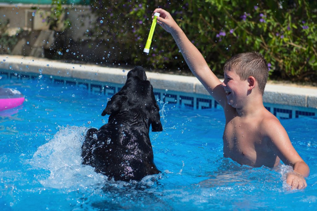 Boy playing with his dog in the swimming pool