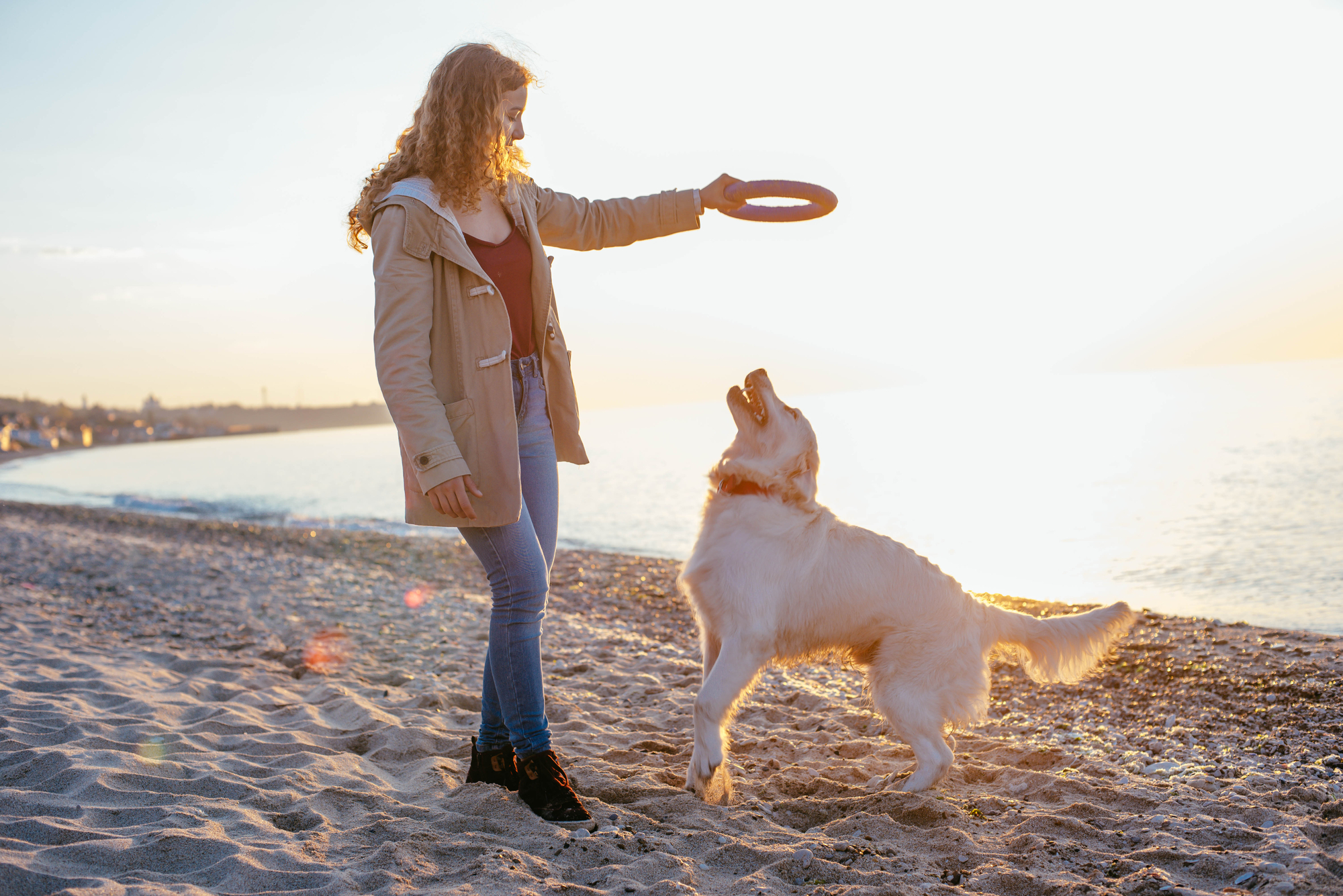 Young woman playing with her dog on the beach