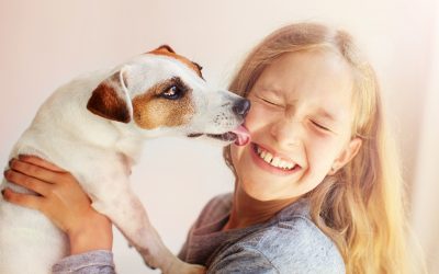 Why Does Your Dog Lick You?