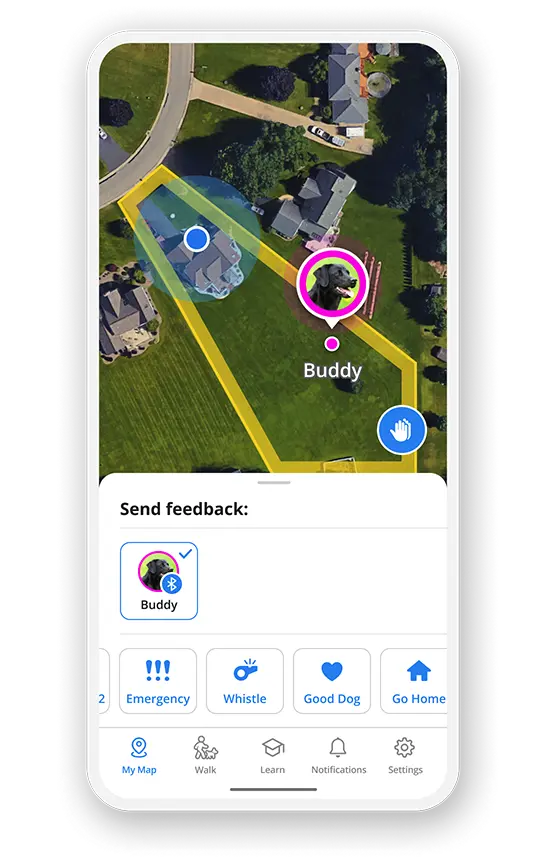 Dog collar app best sale