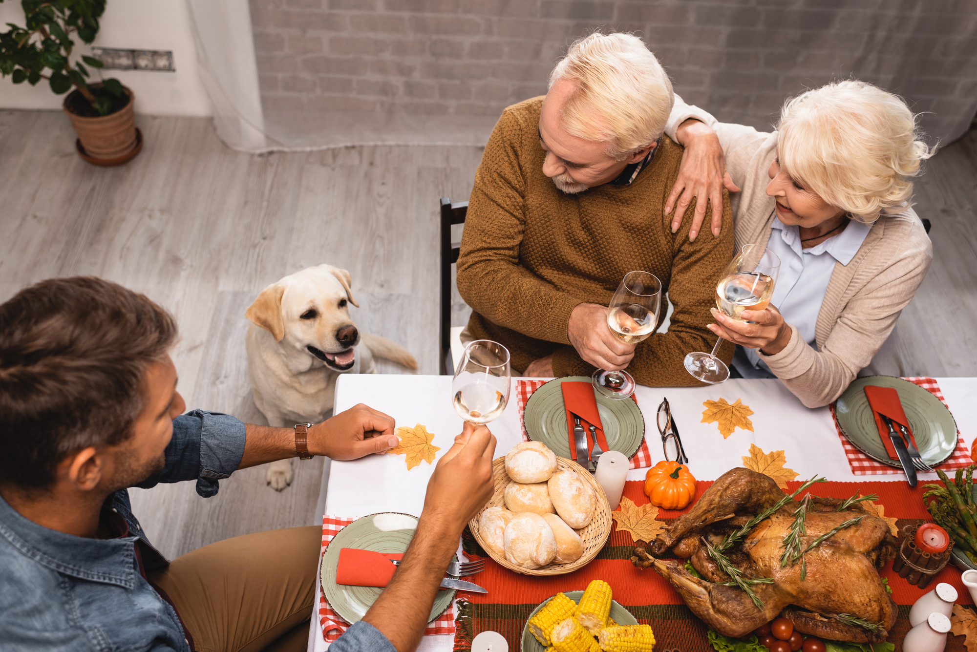 High-angle view of a golden retriever looking at a dinner table.