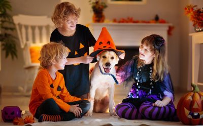 The Best Halloween Costumes for Dogs and Their Owners