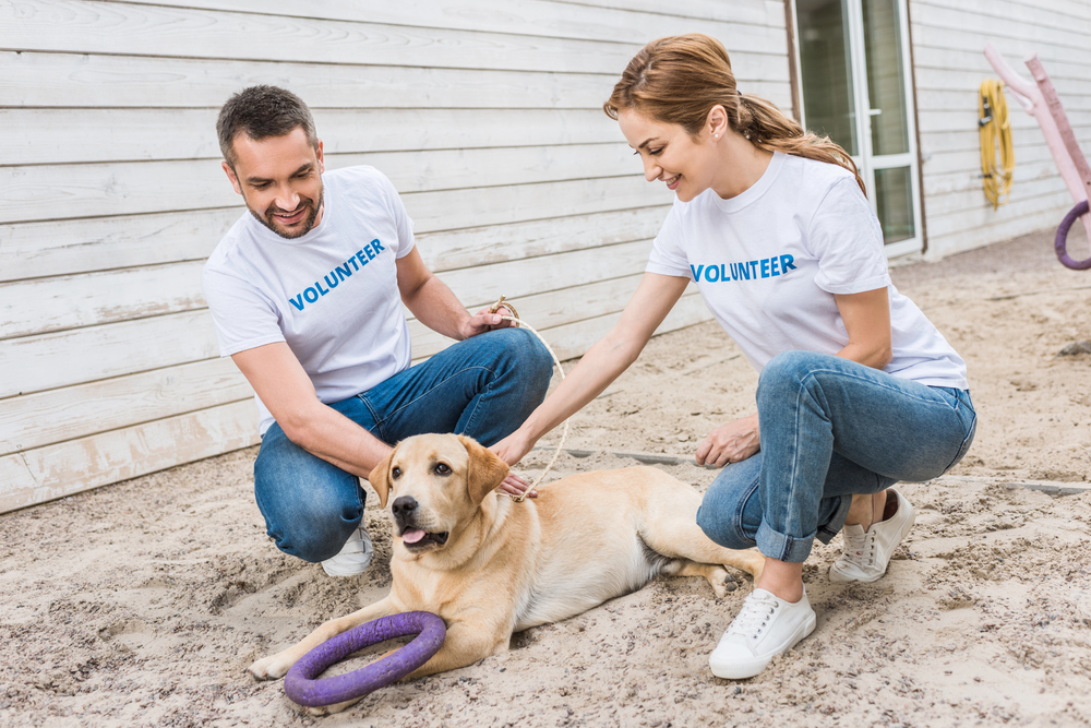 Two volunteers at an animals shelter playing with a mixed-breed dog