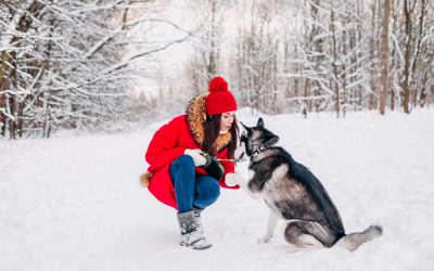 Do Dogs Get Cold: Cold Weather Tips For Your Pup