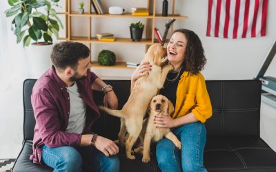 New Dog Owner Checklist: Essential Steps for a Smooth Transition